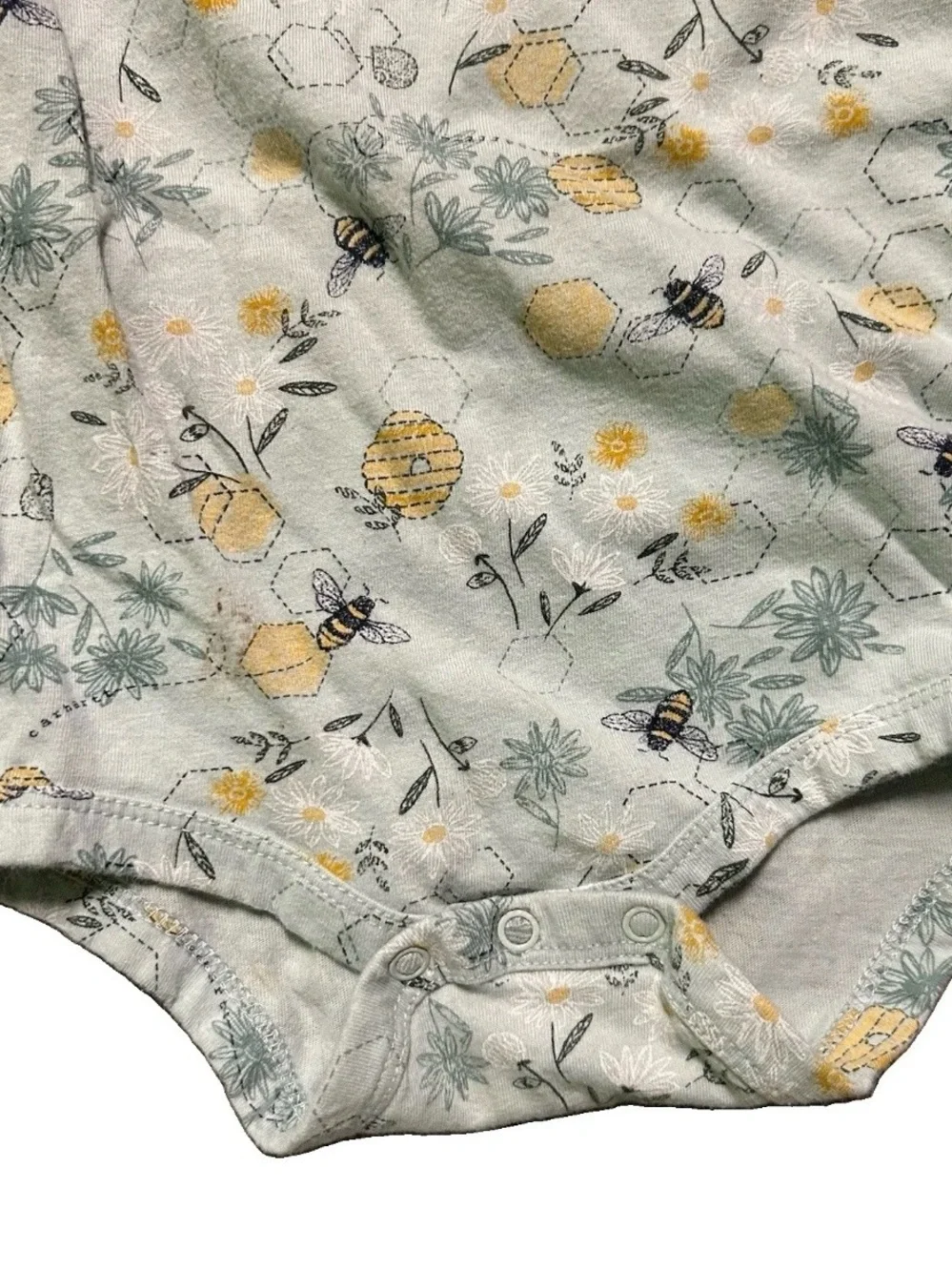 Carhartt Mint Green Bee & Floral Print One-Piece Bodysuit